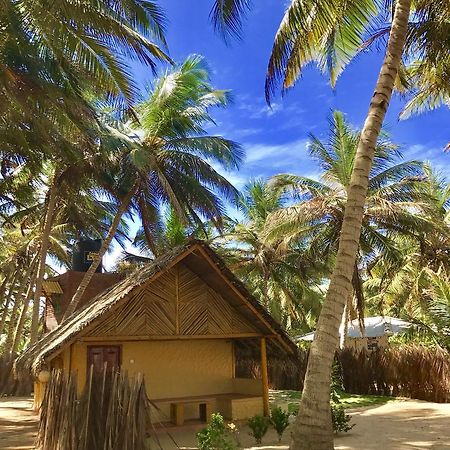 Seahorse Beach Resort Калпітія Екстер'єр фото
